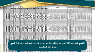نتائج كونكور 2025 في موريتانيا متاحة الآن.. اعرف نتيجتك برقم الترشيح عبر وزارة التهذيب